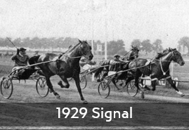 1929 Signal