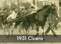 1931 Cicero