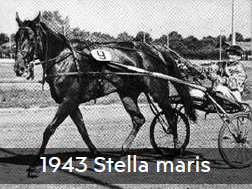 1943 Stella maris