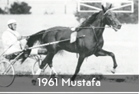 1961 Mustafa
