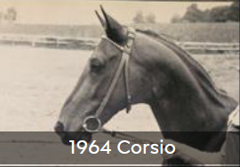1964 Corsio