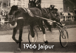1966 Jaipur