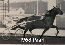 1968 Paarl