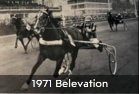 1971 Belevation