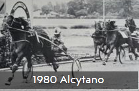 1980 Alcytano