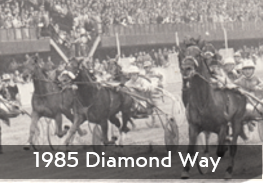 1985 Diamond Way