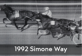 1992 Simone Way