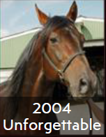 2004 Unforgettable