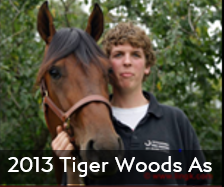 2013 Tiger Woods As