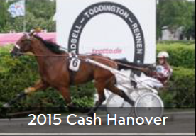 2015 Cash Hanover