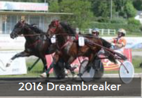 2016 Dreambreaker