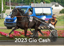 2023 Gio Cash