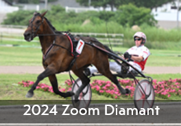 2024 Zoom Diamant