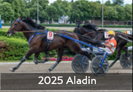 2025 Aladin