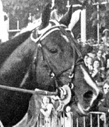 1966-Gesell