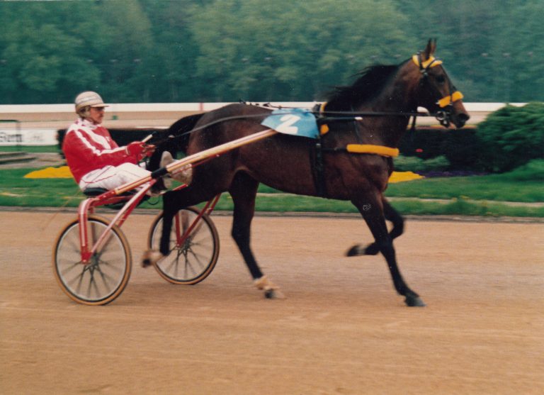 bild-pokal