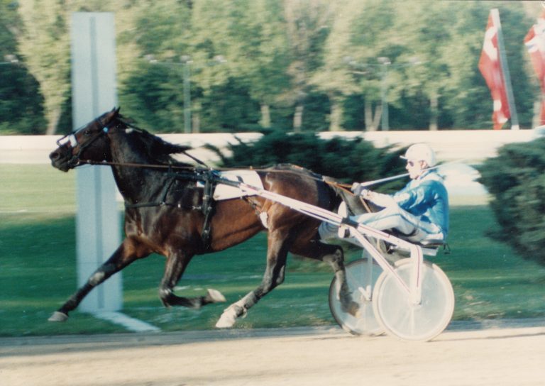 bild-pokal4