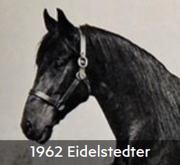 1962