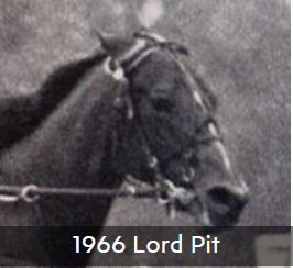 1966