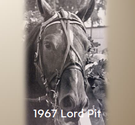 1967