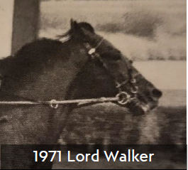1971
