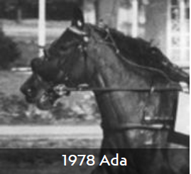 1978