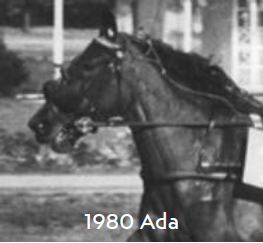 1980