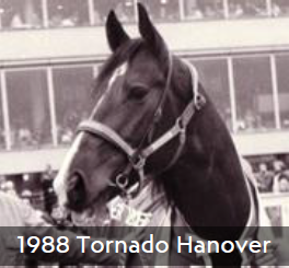 1988