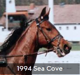 1994