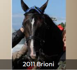2011