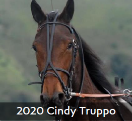 2020