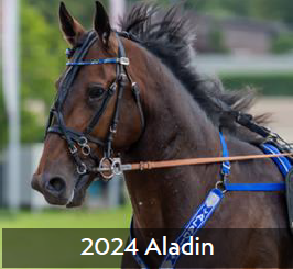 2024